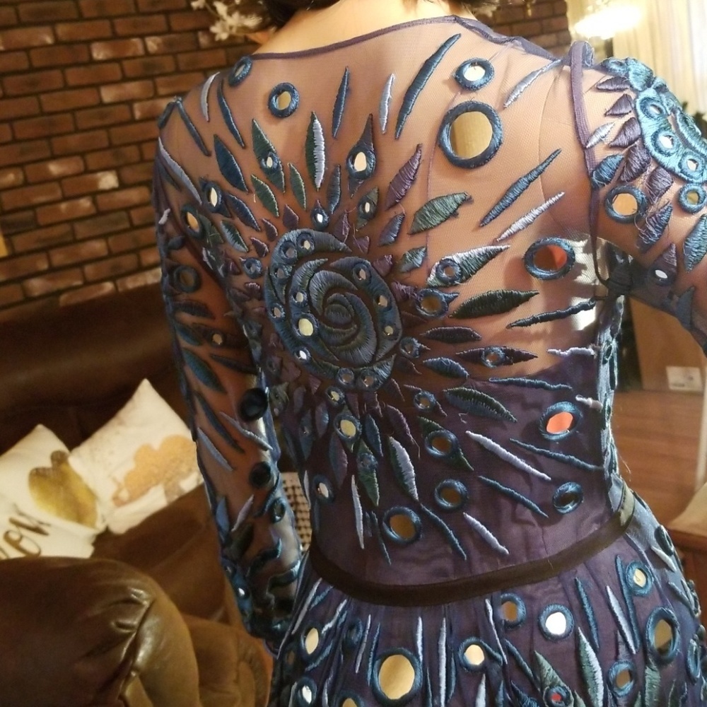 Burberry Runway‎ porsom gown embroidered with mirrors - Picture 6 of 10